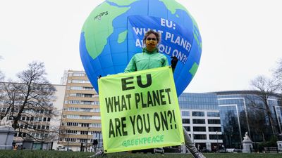 Outrage after Macron urges 'pause' on EU environment regulations