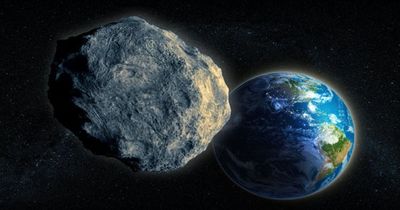 Enormous asteroid the size of 74 Conor McGregor's to 'slam into Earth's orbit' within hours