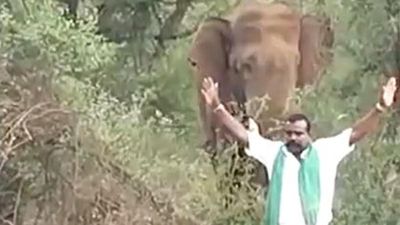 Man in Dharmapuri, allegedly drunk, booked for provoking elephant