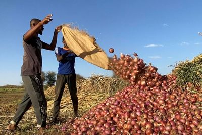 Sudan conflict wreaks havoc on small businesses