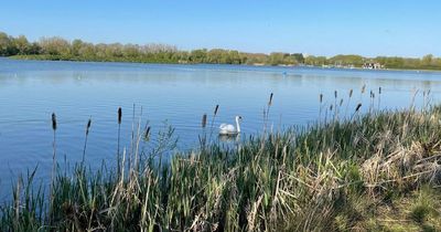 Bird flu confirmed as more than 100 birds die in country park outbreak