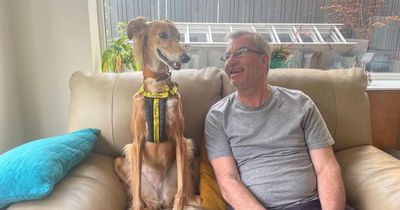 Dogs Trust rehoming centre at West Calder is feeling the strain - and needs your help