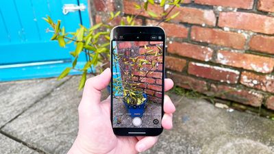 Your iPhone can immediately identify any plant from just a photo — here’s how
