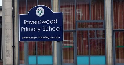 Live power cables outside Newcastle primary school cut in 'extremely dangerous' act of vandalism