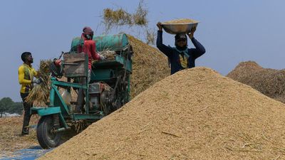 Odisha says its suggestion regarding MSP calculation for paddy was ignored