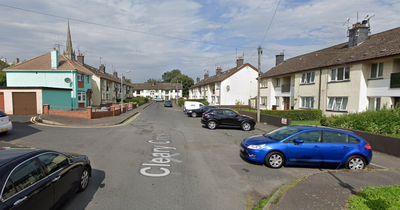 Men assaulted by group 'armed with a baseball bat and crowbar' in Newry