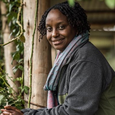 Uganda’s first wildlife vet on breaking the mould – and why gorilla and human health are linked