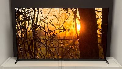 Best 55-inch TVs 2026: 4K HDR OLED, Mini LED and LCD sets, tried and tested