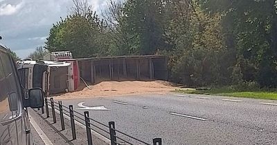 Truck flips over and cargo spews across busy Cork road bringing traffic to a halt