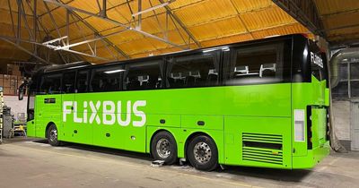 Taunton's Berrys Coaches partners with FixBus to offer new routes to northern cities