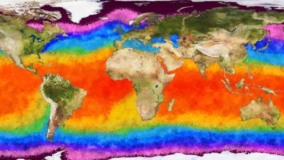 Significant El Niño event is almost guaranteed this year, experts warn. And it could be a big one.