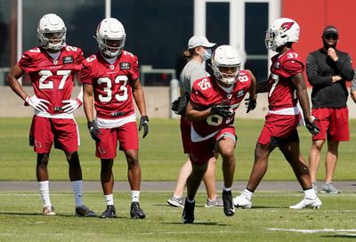 Cardinals open rookie minicamp with only 4 tryout players