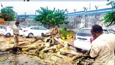 Cyclone Mocha may impact entire northeast: IMD