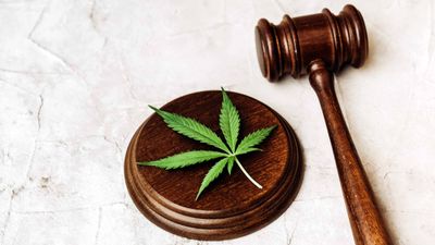 SAFE Banking Act Finds Support as Senate Hearings Begin: This Week in Cannabis Investing