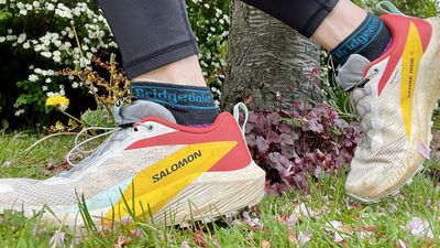Salomon Sense Ride 5 review: the most comfortable Salomon yet