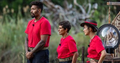 I'm A Celeb winner result divides viewers as some 'gutted' over format shake-up