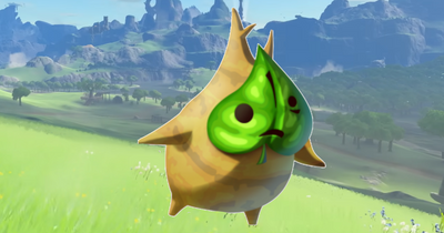 How many Koroks are there in Tears of the Kingdom and how to find them