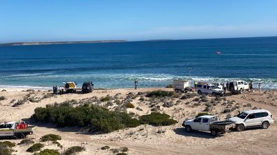 Surfer feared dead after shark attack near Elliston on SA's Eyre Peninsula