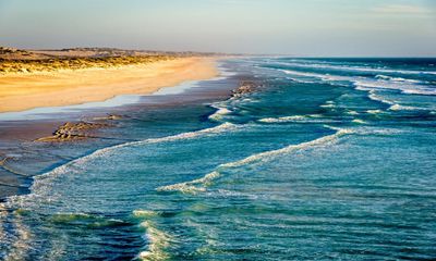 Man, 46, missing and believed dead after shark attack in South Australia