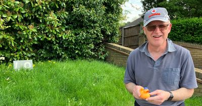 Fed-up pensioner fills potholes with rubber ducks and toy diggers