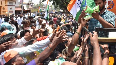 Karnataka election results 2023 | Amul vs Nandini row impact: Congress emerges favourite in milk-producing districts