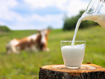 Study claims milk is more hydrating than water