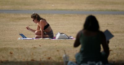 Met Office gives verdict on 35C African plume heatwave in June