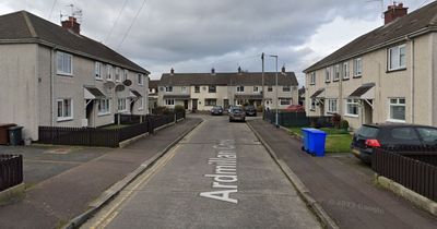 Pipe bomb defused in Co Down security alert