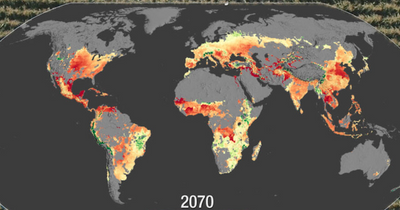 NASA report on world crops suggests Irish favourites could soon fall victim to climate stresses