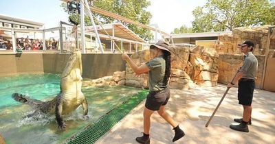 Female keeper mauled by 16ft crocodile in horror attack at reptile park