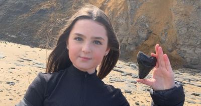 Shocked schoolgirl, 12, finds huge tooth from biggest shark to ever live