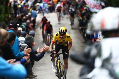 'Not bad for a guy with COVID' – Roglic keeps everyone guessing at Giro d'Italia