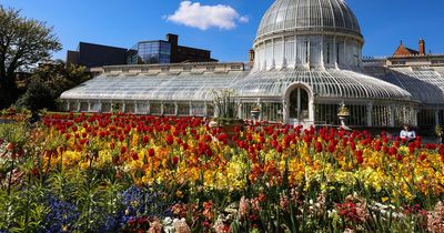 Belfast parks to come alive with music this summer season