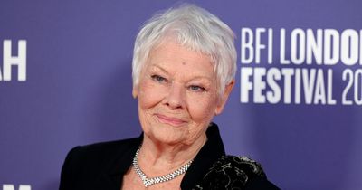 Dame Judi Dench visited by police after being accused of 'stealing deer from park'