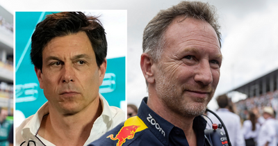 Johnny Herbert makes Toto Wolff point after Christian Horner's "typical cocky" comment