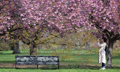 Councils squeezing the life out of England’s parks is bad for us all