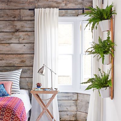 Best plants for the bedroom - 7 soothing plants to help you sleep better