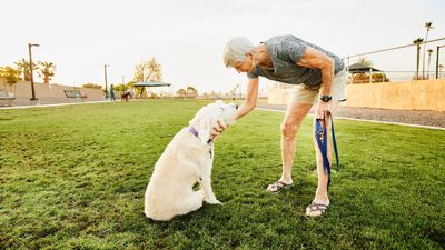 Want to improve your dog's recall? Trainer reveals how it all comes down to repetition and reward