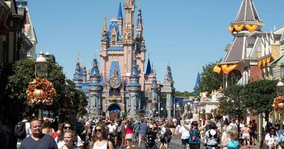 Disney bans strip clubs, tattoo parlours and booze shops from its parks - but not prisons