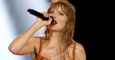 Taylor Swift stops her concert to shout at security guard as she tries to protect fan
