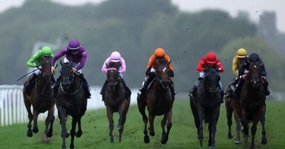 Newsboy's horse racing selections for five meetings on Monday, including Windsor Nap