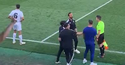 Fernando Torres threatens Alvaro Arbeloa as former Liverpool team-mates involved in astonishing touchline bust-up