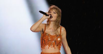 Taylor Swift screams onstage at security guard in defence of fan