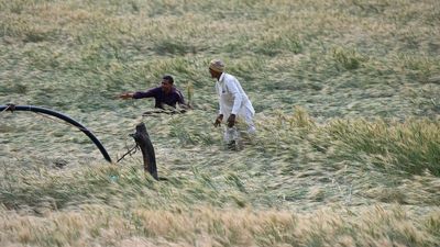 Interest waiver scheme for 11 lakh farmers launched in Madhya Pradesh