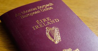 TD warns of 'chaos' for Irish holidaymakers as delays in passport applications criticised