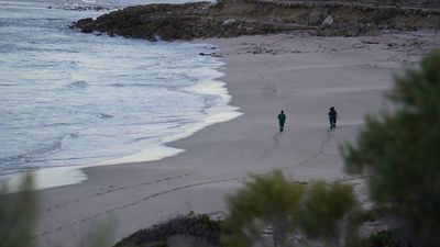 Search continues for missing surfer Simon Baccanello on Eyre Peninsula