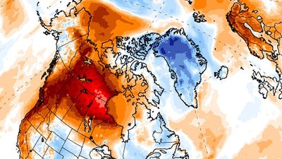 Intense heat wave grips Pacific Northwest: Over 11 million under heat advisories