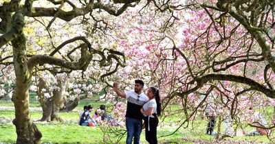 Met Office and BBC weather forecasts show days of warm, dry weather and sunshine