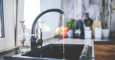 Simple trick to clear a blocked sink that will cost you pennies