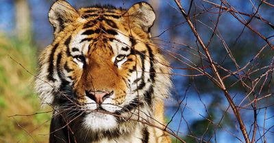 Major discounts at Dublin Zoo to celebrate Endangered Species Day
